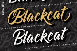 Blackcat: Playful Nostalgia for Modern Design