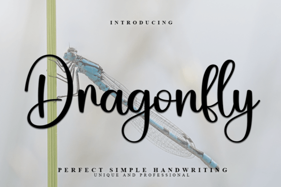 Discover the Artistry of the Dragonfly Font