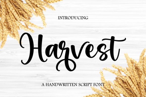 Harvest: A Flowing Script for Elegant Design